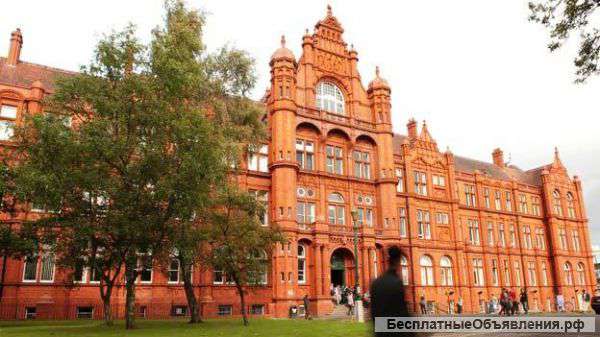 Обучение в Великобритании