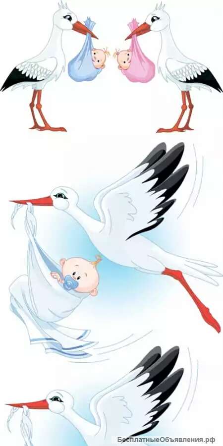 Дизайн человека