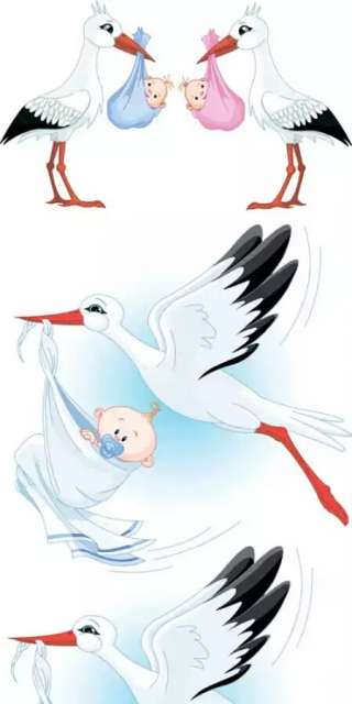 Дизайн человека