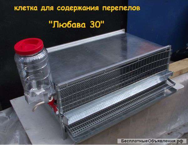 Клетки для перепелов