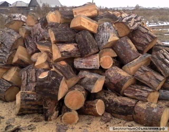 Дрова хвойные