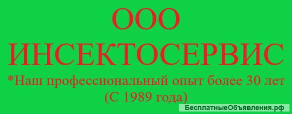 Супер Бумажная Выписка ЕГРЮЛ за 2 часа