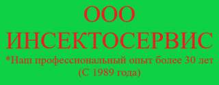 Супер Бумажная Выписка ЕГРЮЛ за 2 часа