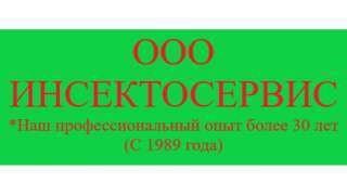 Годовой договор с СЭС + все Акты выполненных работ