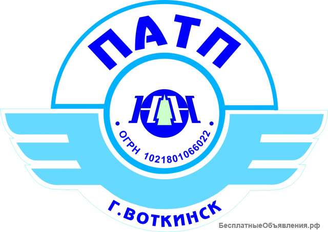 Водитель автомобиля