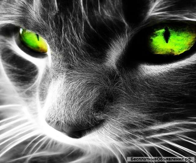 УФ-печать в Пензе ООО*Альфа-Инструмент