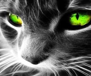 УФ-печать в Пензе ООО*Альфа-Инструмент