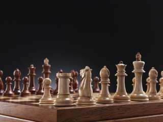 Шахматы для детей. Тренер по шахматам.