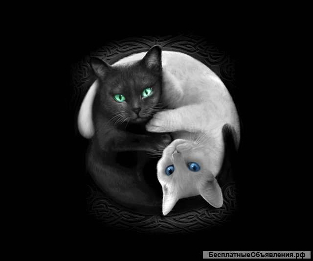 Предсказания на Таро, рунах