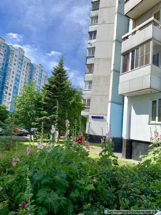 Семь причин купить СТУДИЮ