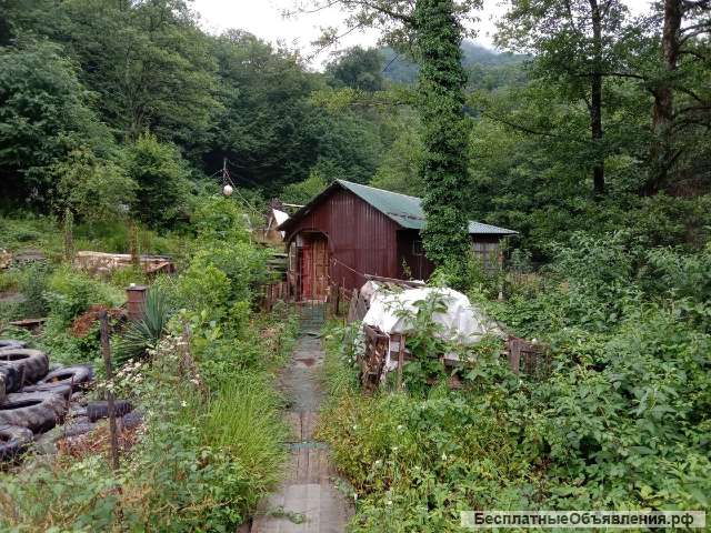 Участок 8 соток