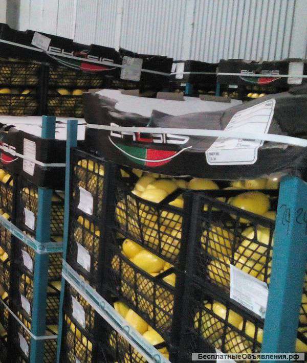 Лимоны оптом