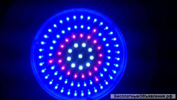 Фитолампа ufo 90w светодиодная led Для вегетативной стадии 90 светодиодов