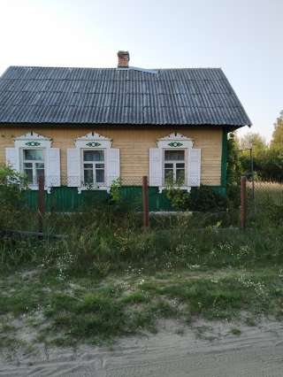 Загородный дом в Осиповичском районе