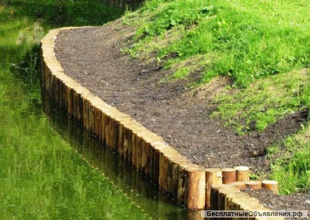 Берегоукрепление лиственницы