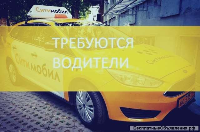 Водитель в такси Ситимобил