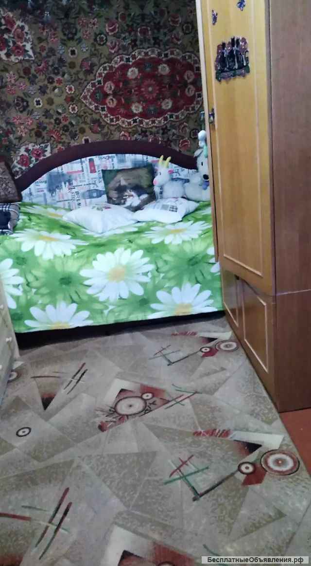 2-ком квартиру в Центре, 2/3к, 34/17/10