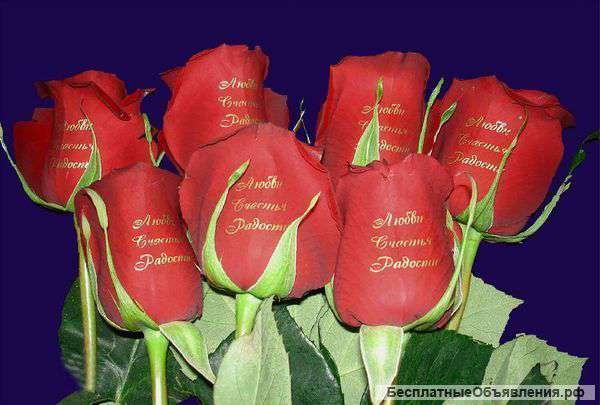 Студия печати