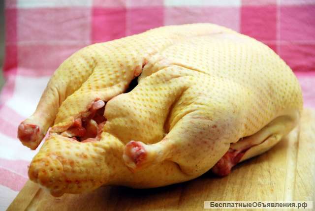 Мясо кур-бройлеров (тушка) в Балашихе