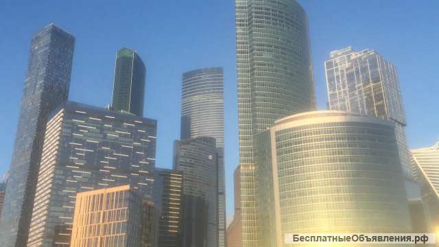 Требуется руководитель отдела продаж