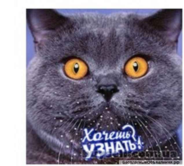 Кинопроектор - антиквар