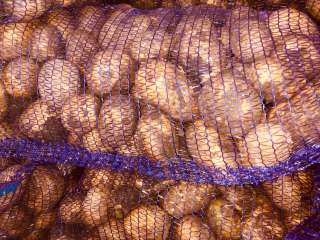 Картофель от ФХ