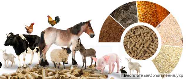 Оборудование для изготовления топливных и кормовых пеллет