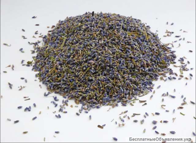 Лаванда - сухие цветы (есть много)