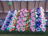 Надувные гирлянды и цветы Inflatable lanterns and apartments Цена за 1 м