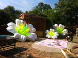Надувные гирлянды и цветы Inflatable lanterns and apartments Цена за 1 м