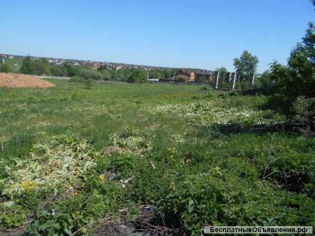 Предоставим открытую площадку для ведения совместного бизнеса