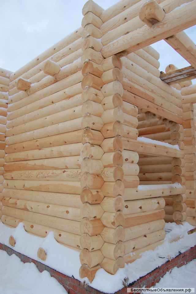 Оцилиндрованное бревно от производителя