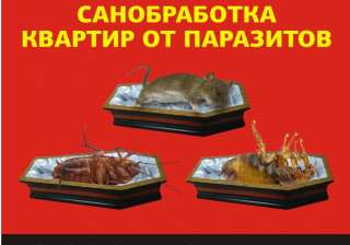Нужен менеджер по продаже хим. препаратов от насекомых