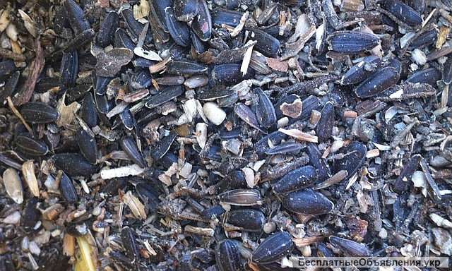 Закупаем лузгу подсолнуха