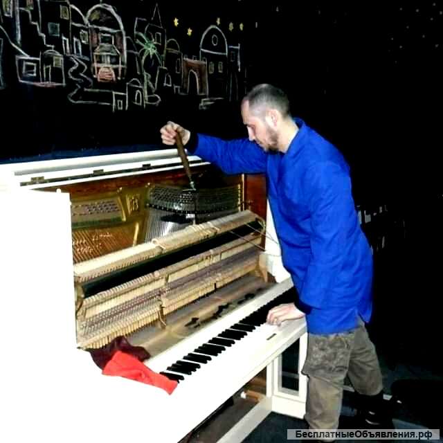 Настройка и ремонт пианино и роялей в Краснодаре
