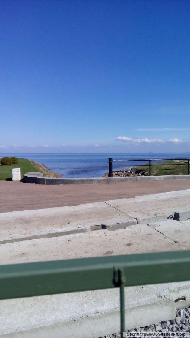 Участок 8 соток