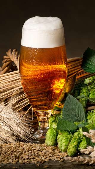 Вакансия продавца