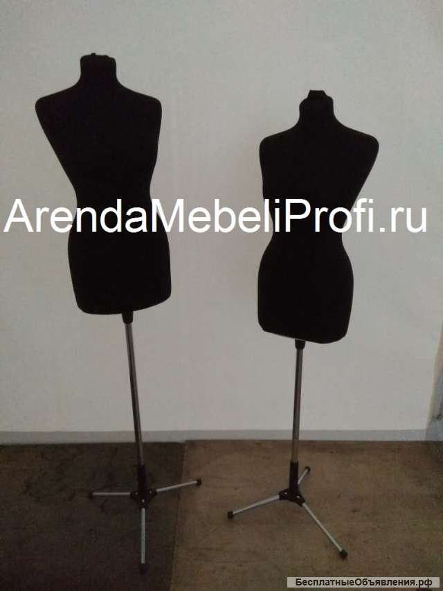 Манекены и мольберты в аренду