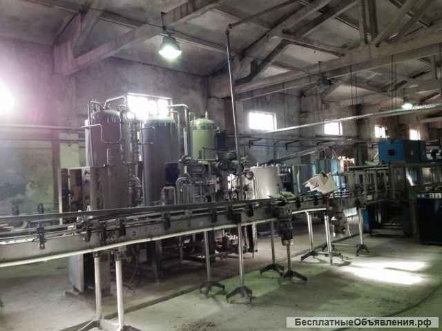Завод по переработке яблок и сады в Белёве