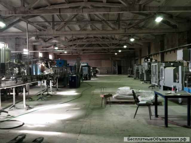 Завод по переработке яблок и сады в Белёве