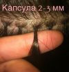 Микрокапсульное наращивание волос. Гарантия 100 %. Опыт с 2005 года.