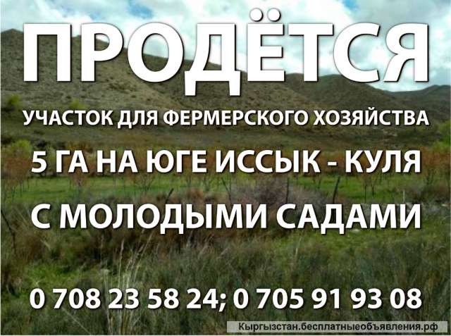 Участок для фермерского хозяйства. 5 га на юге Иссык-Куля с молодыми садами.