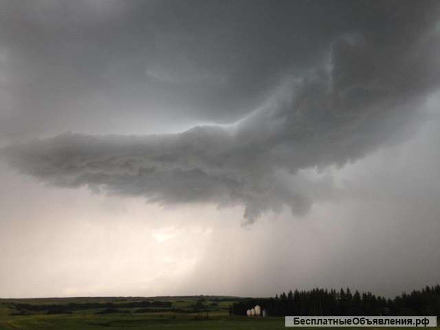 Магия этой реальности