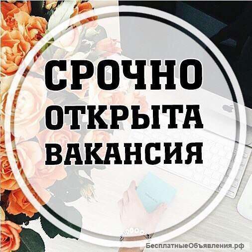 Оформитель дисконтных карт