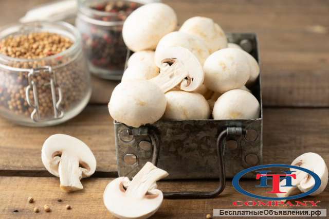 Сборщик грибов с бесплатным питанием и проживанием