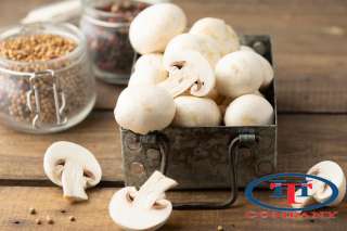 Сборщик грибов с бесплатным питанием и проживанием