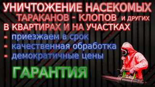 Уничтожение тараканов, клопов. Дезинсекция