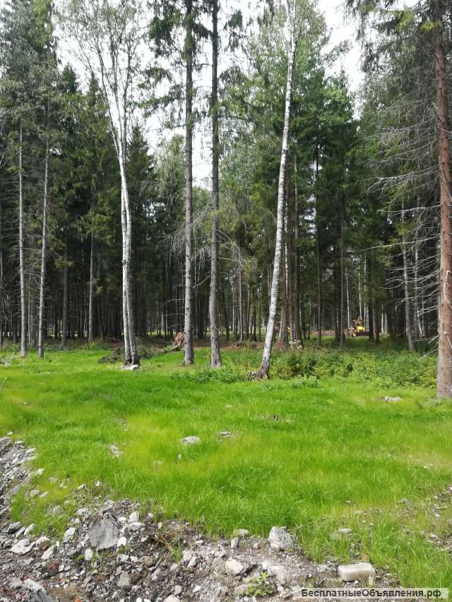 Участок 9 соток