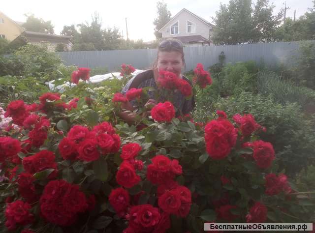 Промоутер