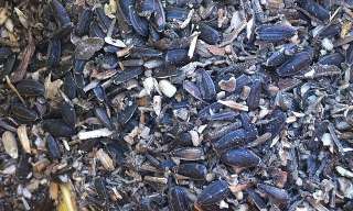 Купуємо лушпиння та відходи з насіння соняшника